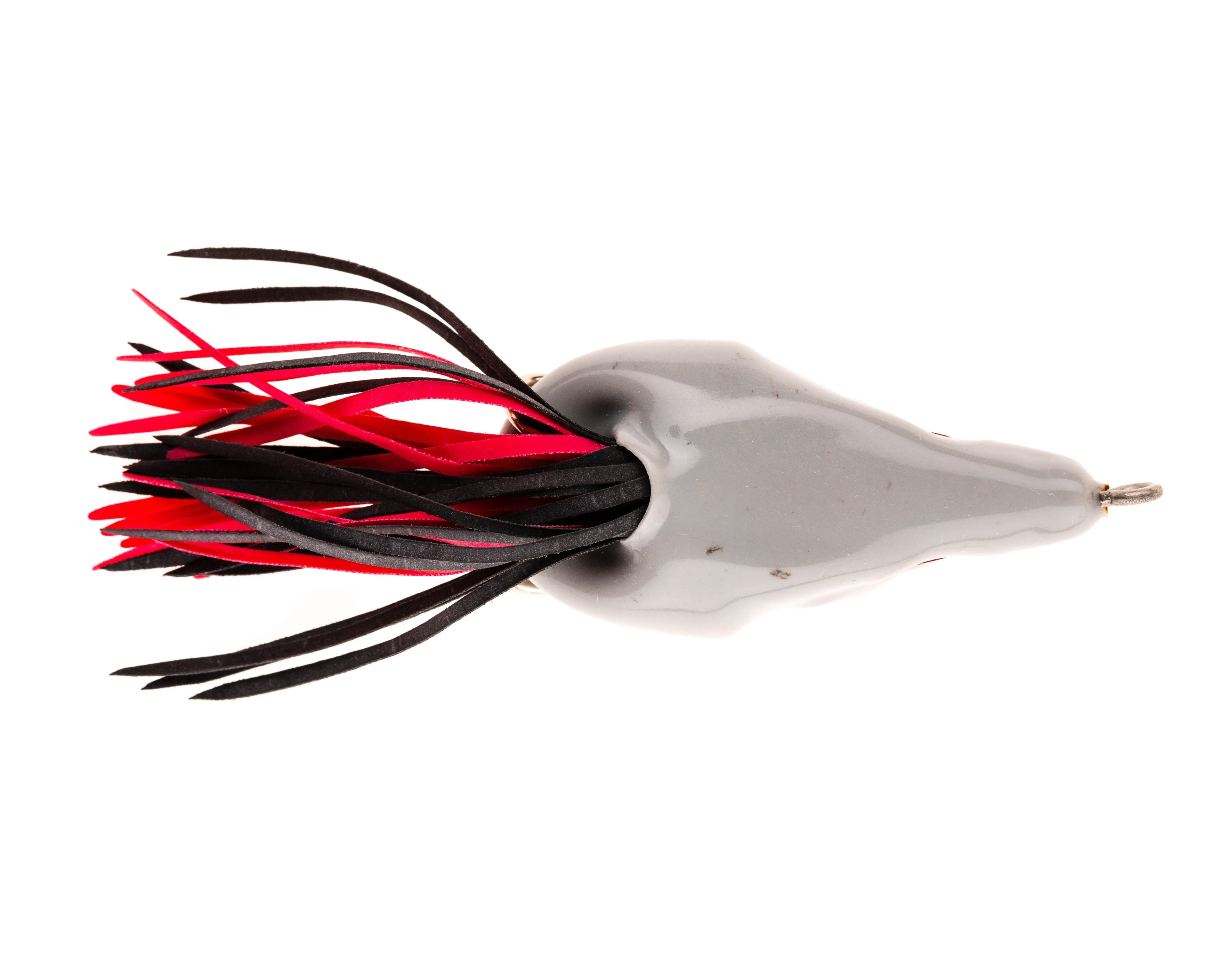 Bass Rat
