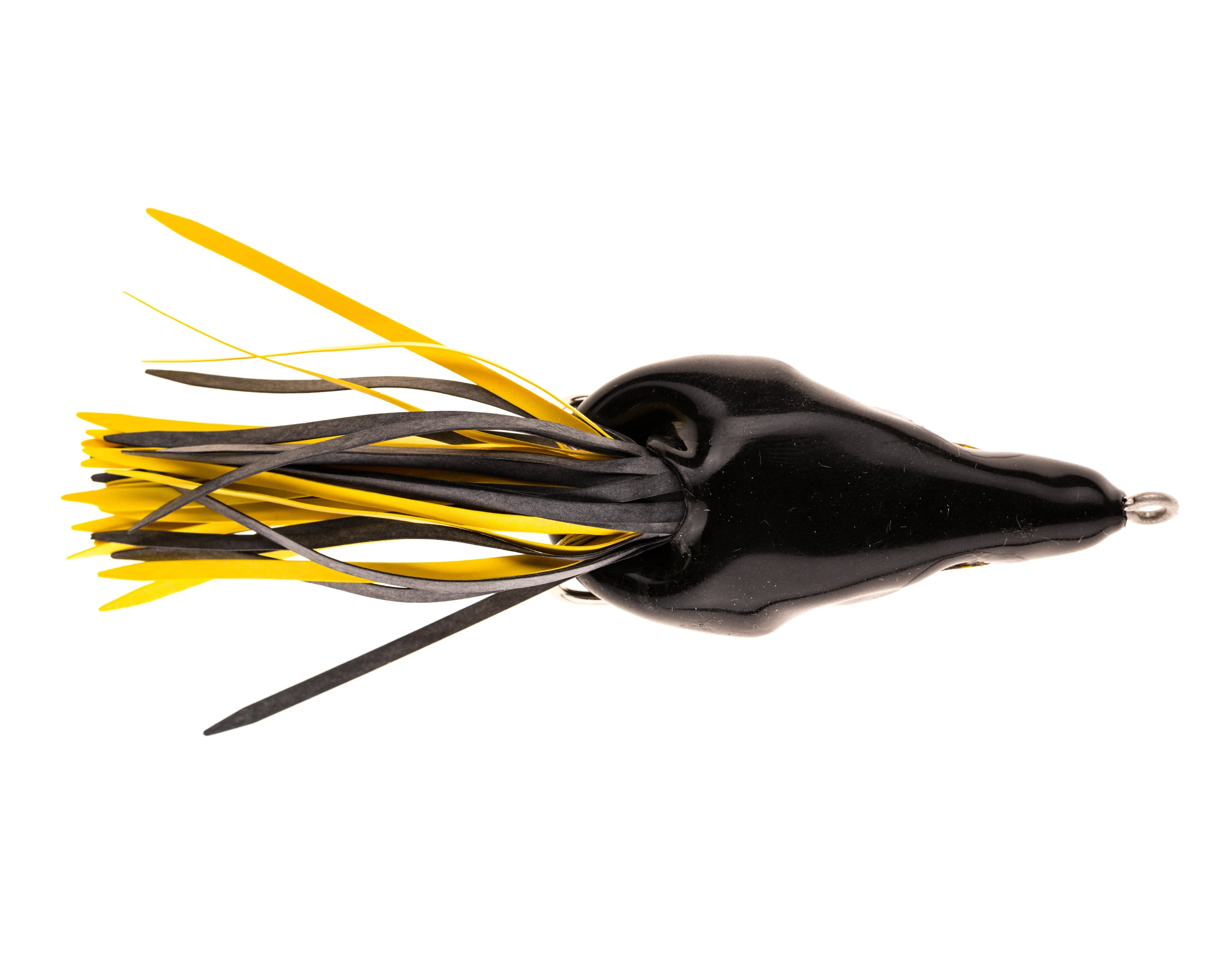 Bass Rat