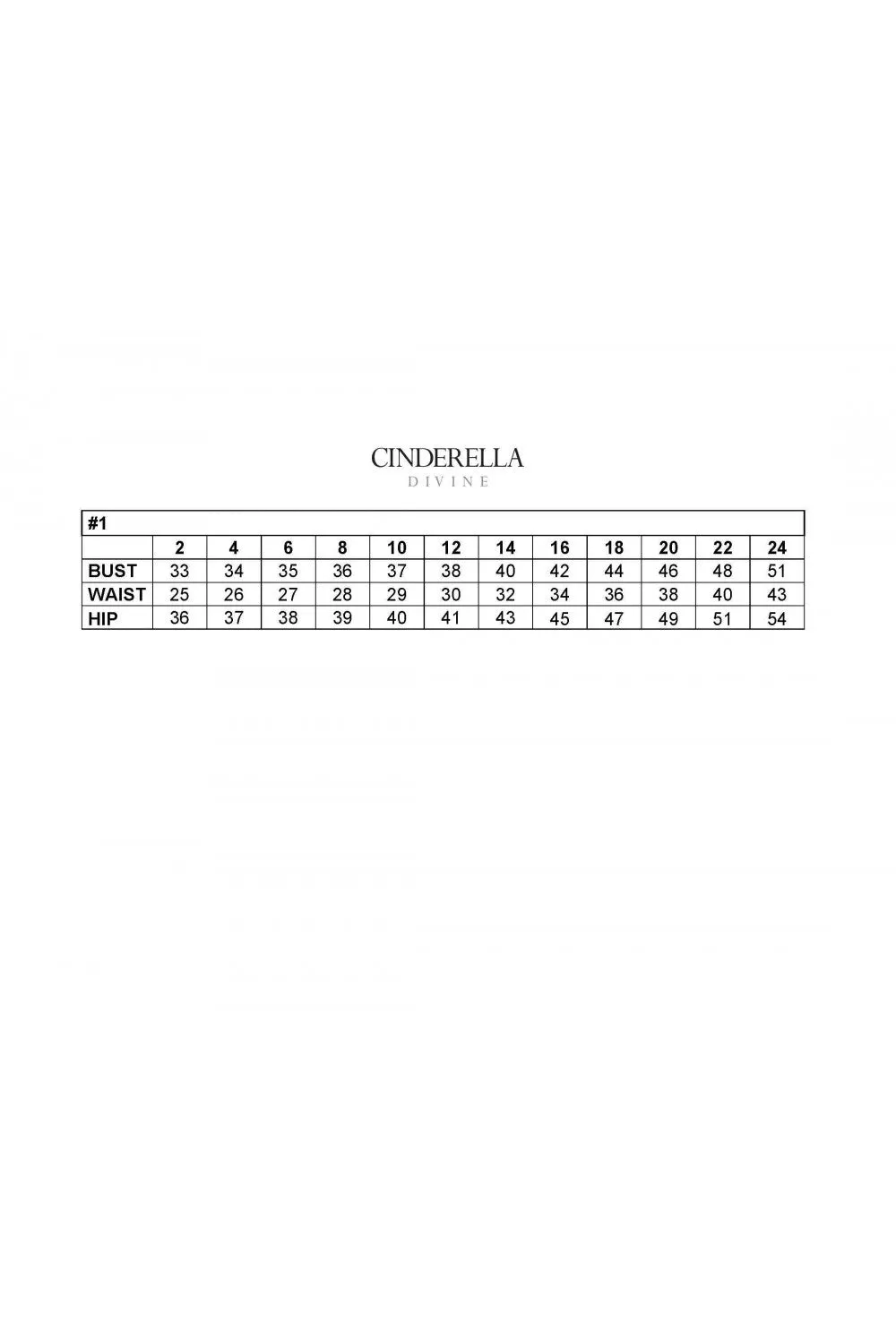Cinderella Evening Dress CD928