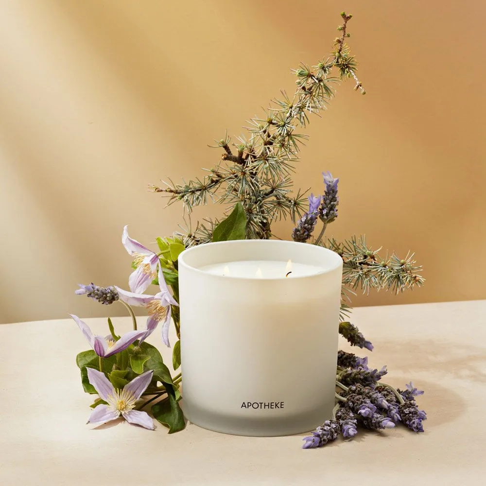Hinoki Lavender 3-Wick Candle