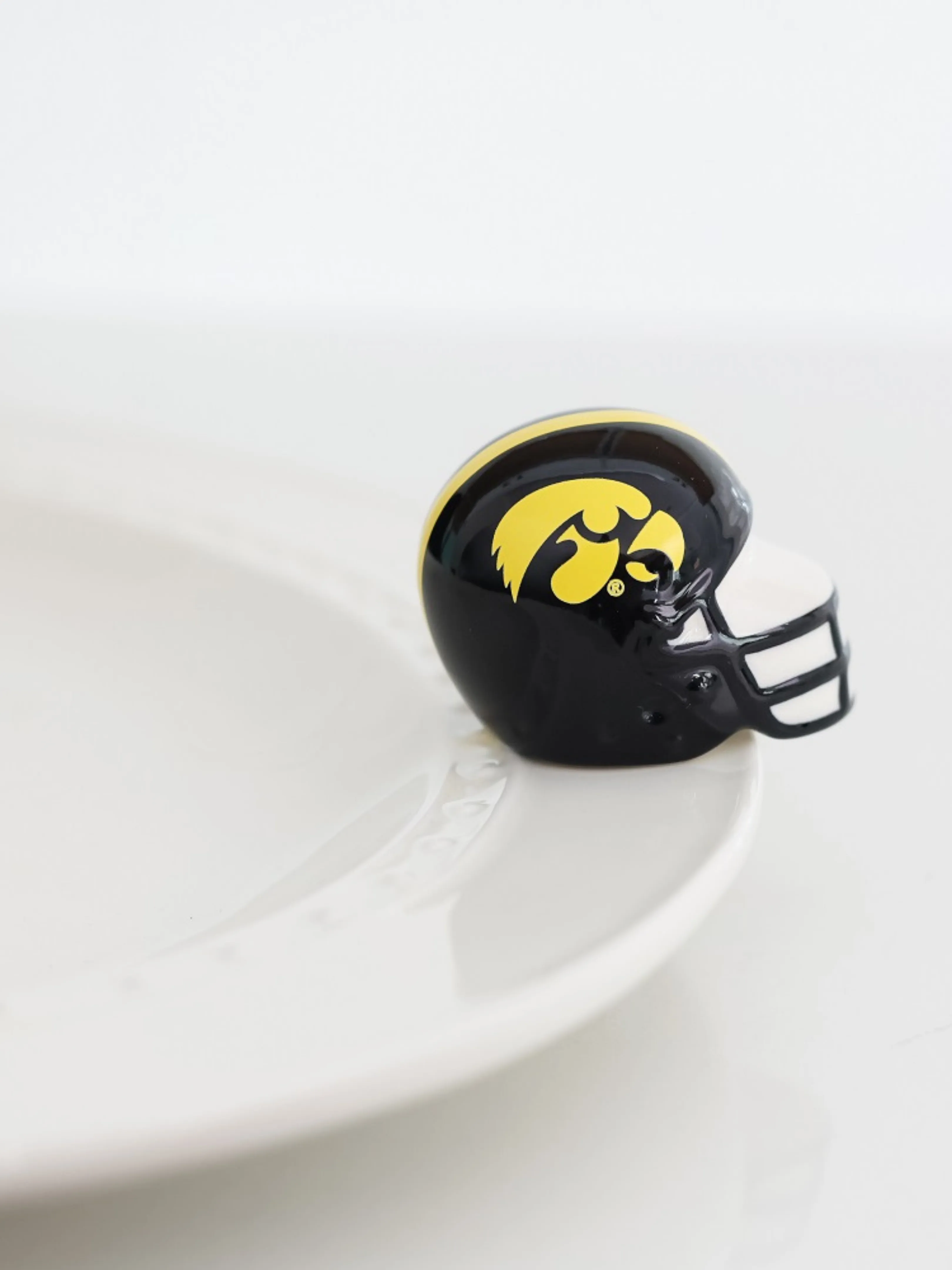 Mini - University of Iowa