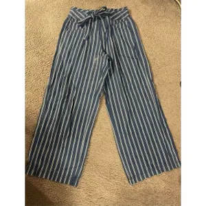 NWT American Eagle Women's Size 6 Blue Striped Wide-Leg Chambray Pa
