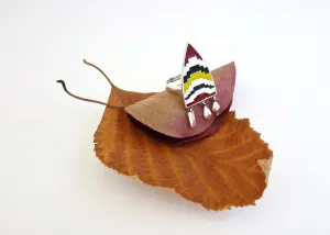 ORINGO shield ring