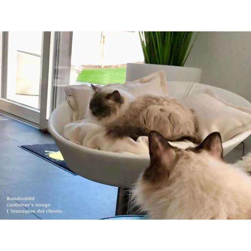 Pet Interiors Cosmo Leather Deluxe Cat Bed