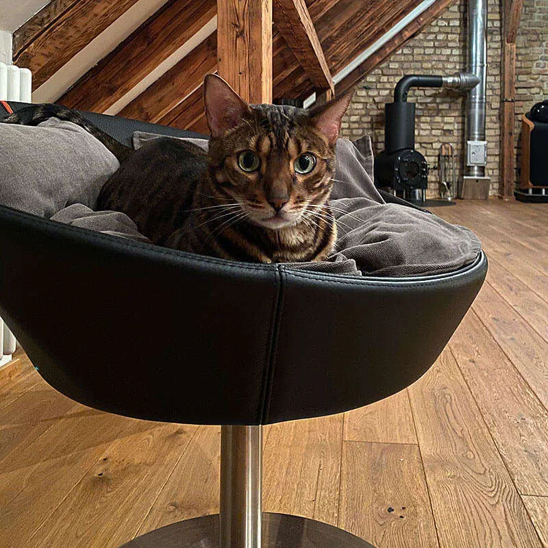 Pet Interiors Cosmo Leather Deluxe Cat Bed
