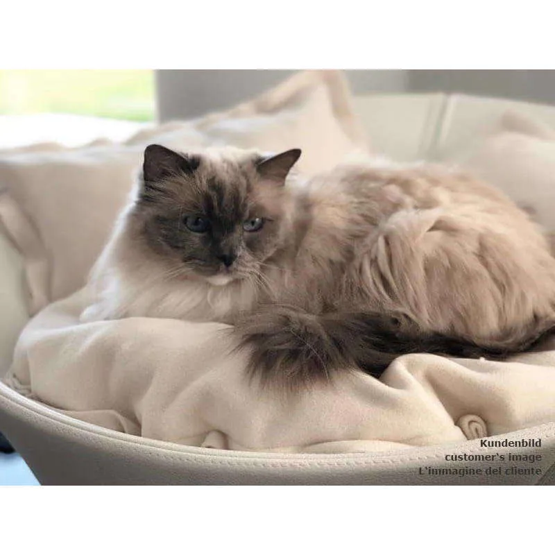 Pet Interiors Cosmo Leather Deluxe Cat Bed