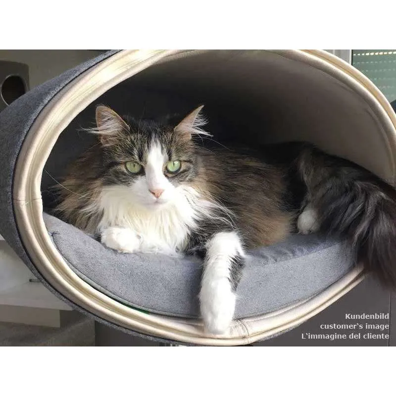 Pet Interiors Rondo Leather Cat Bed Stand