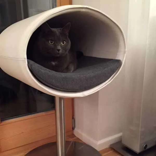 Pet Interiors Rondo Leather Cat Bed Stand