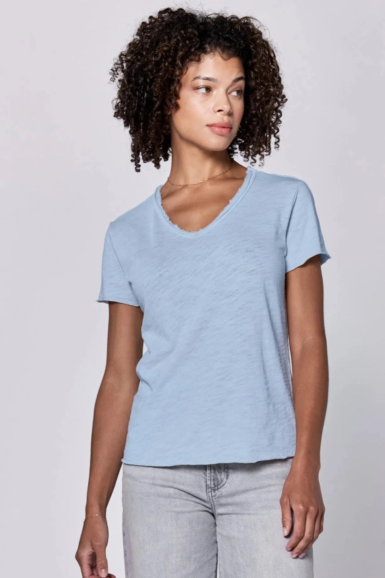 Vanya V-neck Short Sleeve Top Skyway